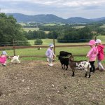phoca_thumb_m_vlet km 20 Fotogalerie
